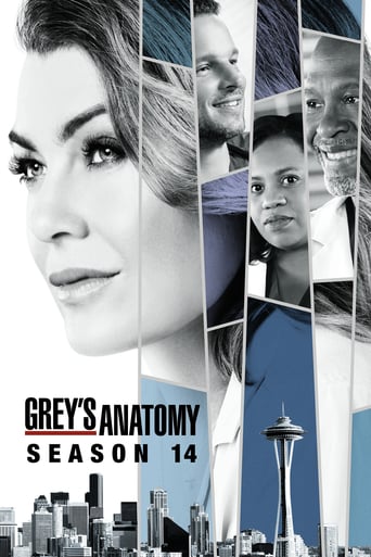 Grey's Anatomy season #14