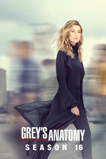Grey's Anatomy season #16