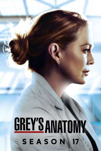 Grey's Anatomy season #17